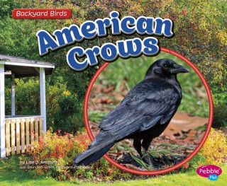 Book American Crows Lisa J. Amstutz