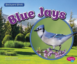 Kniha Blue Jays Lisa J. Amstutz