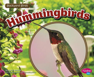 Kniha Hummingbirds Lisa J. Amstutz