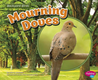 Boek Mourning Doves Lisa J. Amstutz