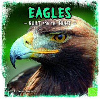 Knjiga Eagles Tammy Gagne