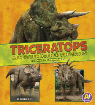 Książka Triceratops and Other Horned Dinosaurs Kathryn Clay