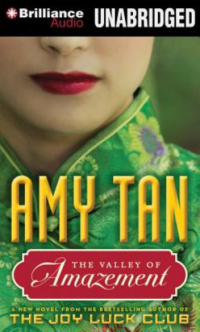 Аудио The Valley of Amazement Amy Tan