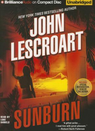 Аудио Sunburn John T. Lescroart