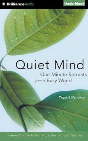 Hanganyagok Quiet Mind David Kundtz