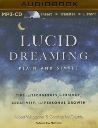 Digital Lucid Dreaming, Plain and Simple Robert Waggoner