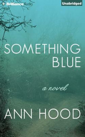 Audio Something Blue Ann Hood