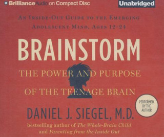 Аудио Brainstorm Daniel J. Siegel