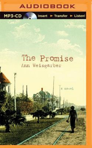 Audio The Promise Ann Weisgarber