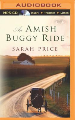 Digital An Amish Buggy Ride Sarah Price