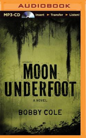 Digital Moon Underfoot Bobby Cole