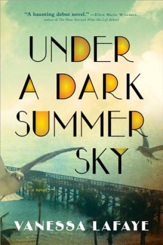 Book Under a Dark Summer Sky Vanessa Lafaye