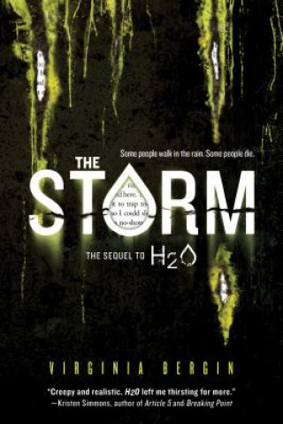 Kniha The Storm Virginia Bergin