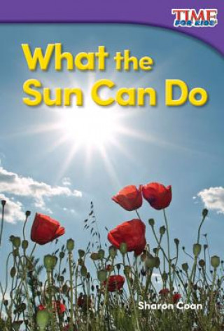 Книга What the Sun Can Do Sharon Coan