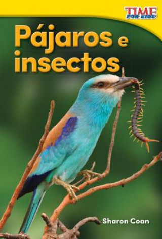 Carte Pájaros e insectos /Birds and Bugs Sharon Coan