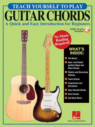 Könyv Teach Yourself to Play Guitar Chords Steve Gorenberg