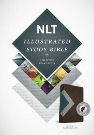 Carte NLT Illustrated Study Bible Tutone Teal/Chocloate, Indexed Tyndale