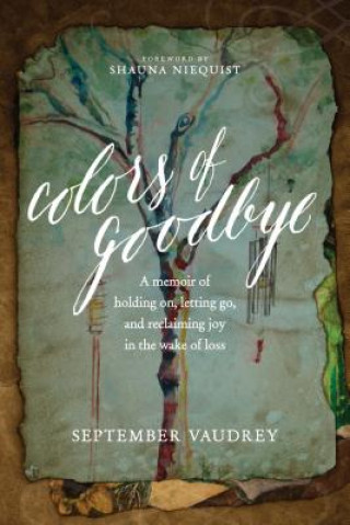Kniha Colors of Goodbye September Vaudrey