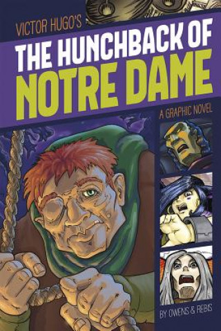 Könyv Hunchback of Notre Dame L. L. Owens