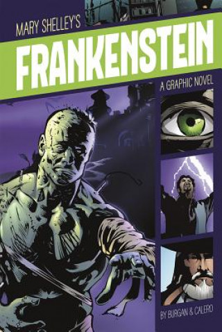 Kniha Frankenstein Michael Burgan