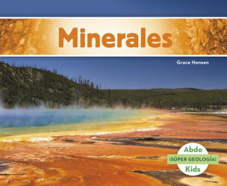 Buch Minerales Grace Hansen