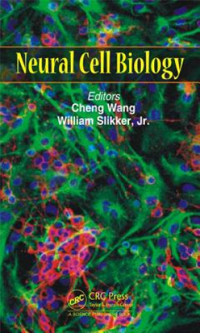 Книга Neural Cell Biology Cheng Wang