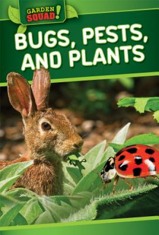 Buch Bugs, Pests, and Plants Molly Mack