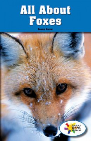 Knjiga All About Foxes Denzel Carter