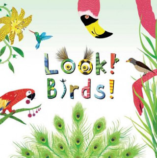 Knjiga Look! Birds! Stephanie Calmenson