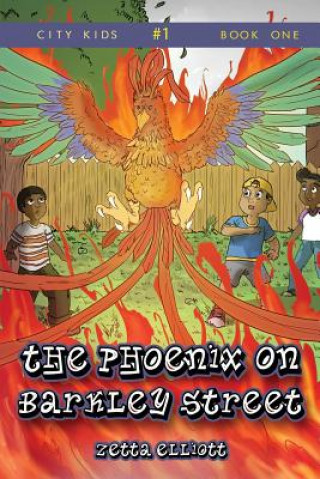 Buch The Phoenix on Barkley Street Zetta Elliott