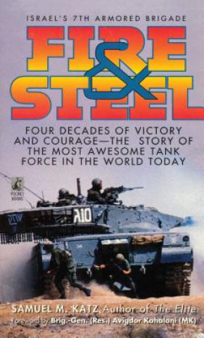 Kniha Fire & Steel Samuel M. Katz
