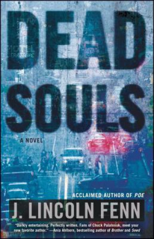 Buch Dead Souls J. Lincoln Fenn