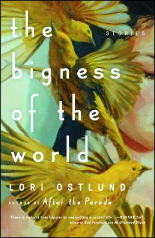 Kniha The Bigness of the World Lori Ostlund