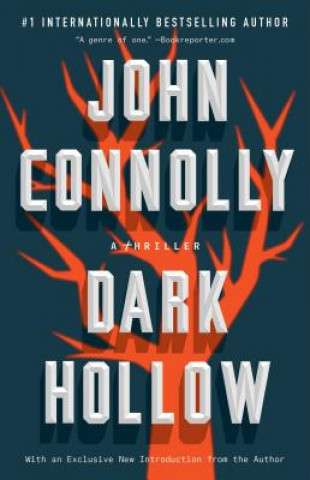 Könyv Dark Hollow John Connolly