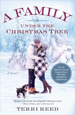 Könyv A Family Under the Christmas Tree Terri Reed