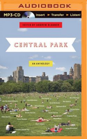 Digital Central Park Andrew Blauner