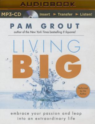 Audio Living Big Pam Grout