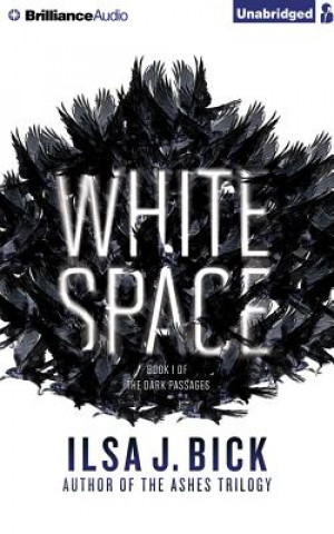 Audio White Space Ilsa J. Bick