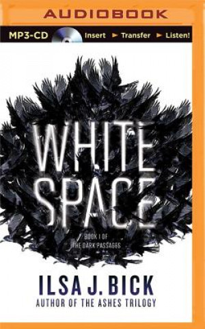 Digital White Space Ilsa J. Bick