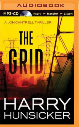 Digital The Grid Harry Hunsicker