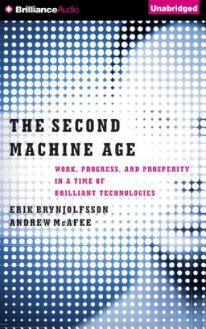 Аудио The Second Machine Age Erik Brynjolfsson