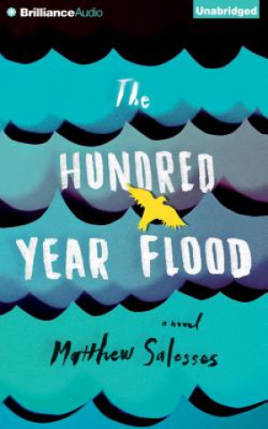 Audio The Hundred Year Flood Matthew Salesses