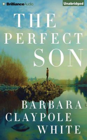 Audio The Perfect Son Barbara Claypole White