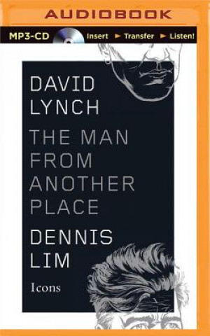 Digital David Lynch Dennis Lim