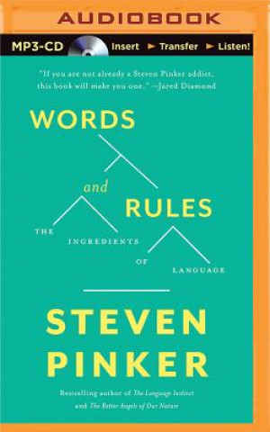 Digital Words and Rules Steven Pinker