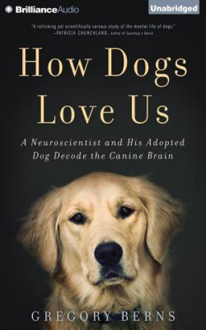 Аудио How Dogs Love Us Gregory Berns