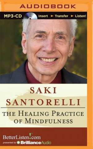 Digital The Healing Practice of Mindfulness Saki Santorelli