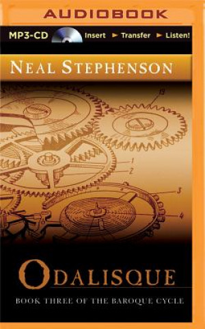 Digital Odalisque Neal Stephenson