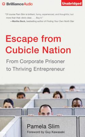 Hanganyagok Escape from Cubicle Nation Pamela Slim