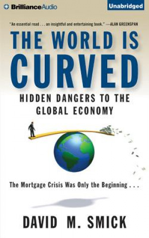 Audio The World Is Curved David M. Smick